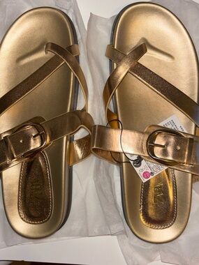 Metallic Gold Strappy Buckle Sandals for Women